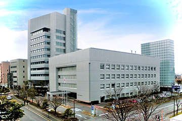 �V�����������N�ی��c�̘A����l