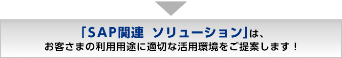 SAP �֘A�\�����[�V�����́A���q���܂̗��p�p�r�ɓK�؂Ȋ��p��������Ă��܂�